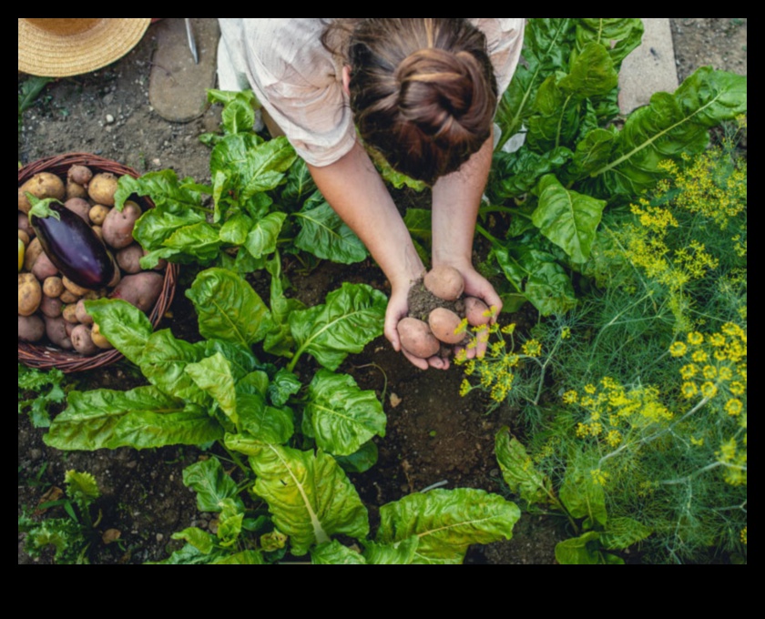 טיפוח הטבע: אימוץ מתנות הגננות