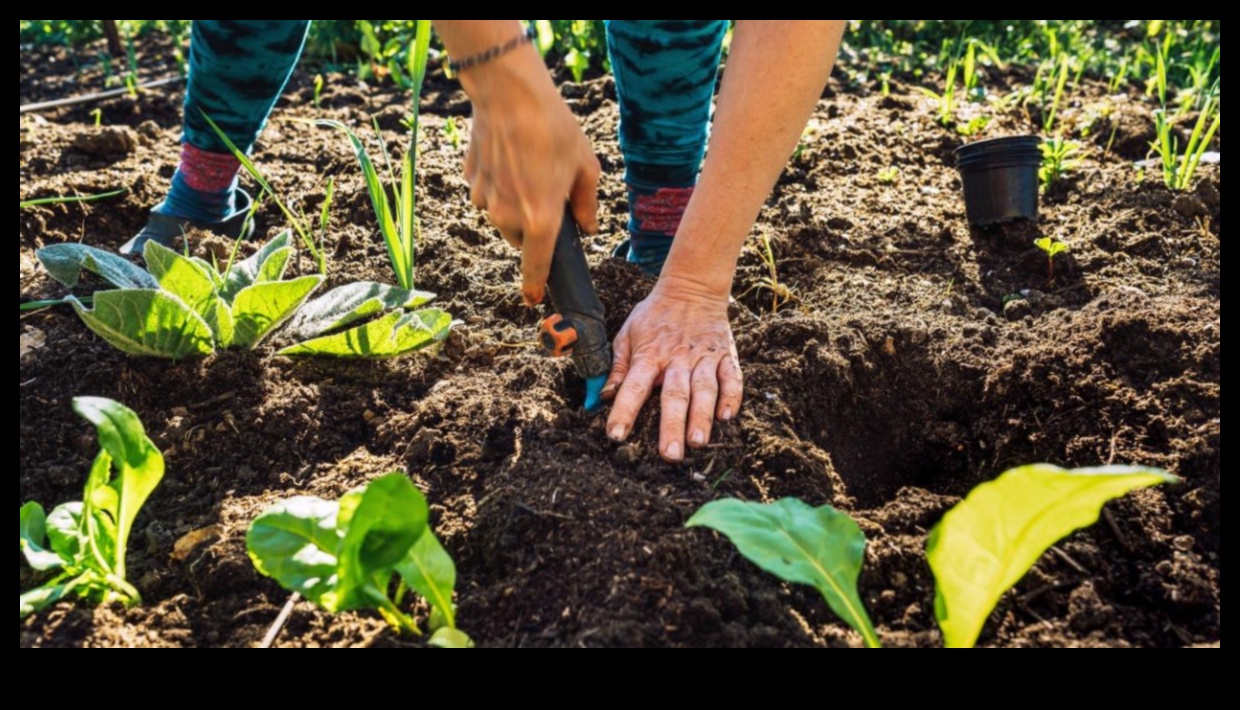 טיפוח הטבע: אימוץ מתנות הגננות