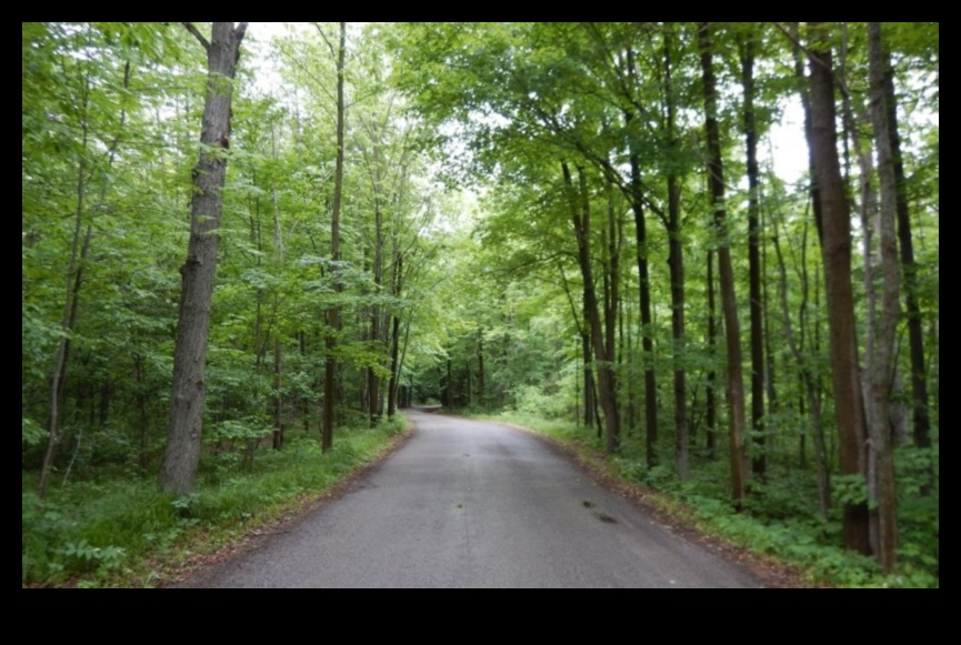 הנוף המשתנה של הטבע 4 פרספקטיבות קסומות: אוסף של נופים שובי לב נחשף