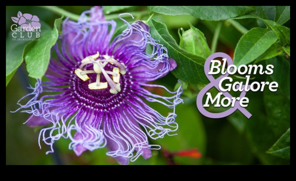 סדנאות גן בשפע: חוויה לימודית פורחת