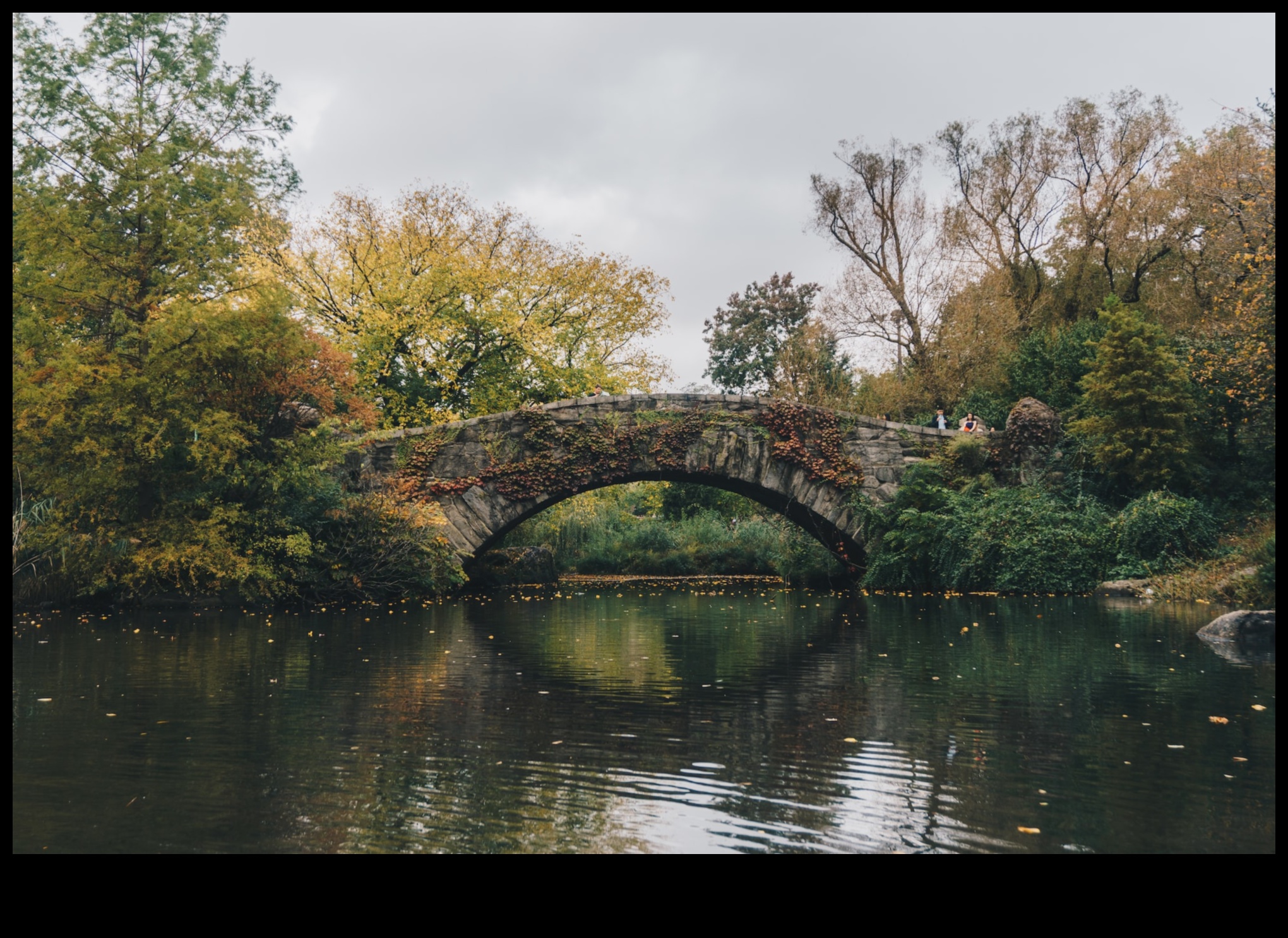 נווה המדבר של הטבע: נסיגה חזותית אל נופים שלווים ומרעננים