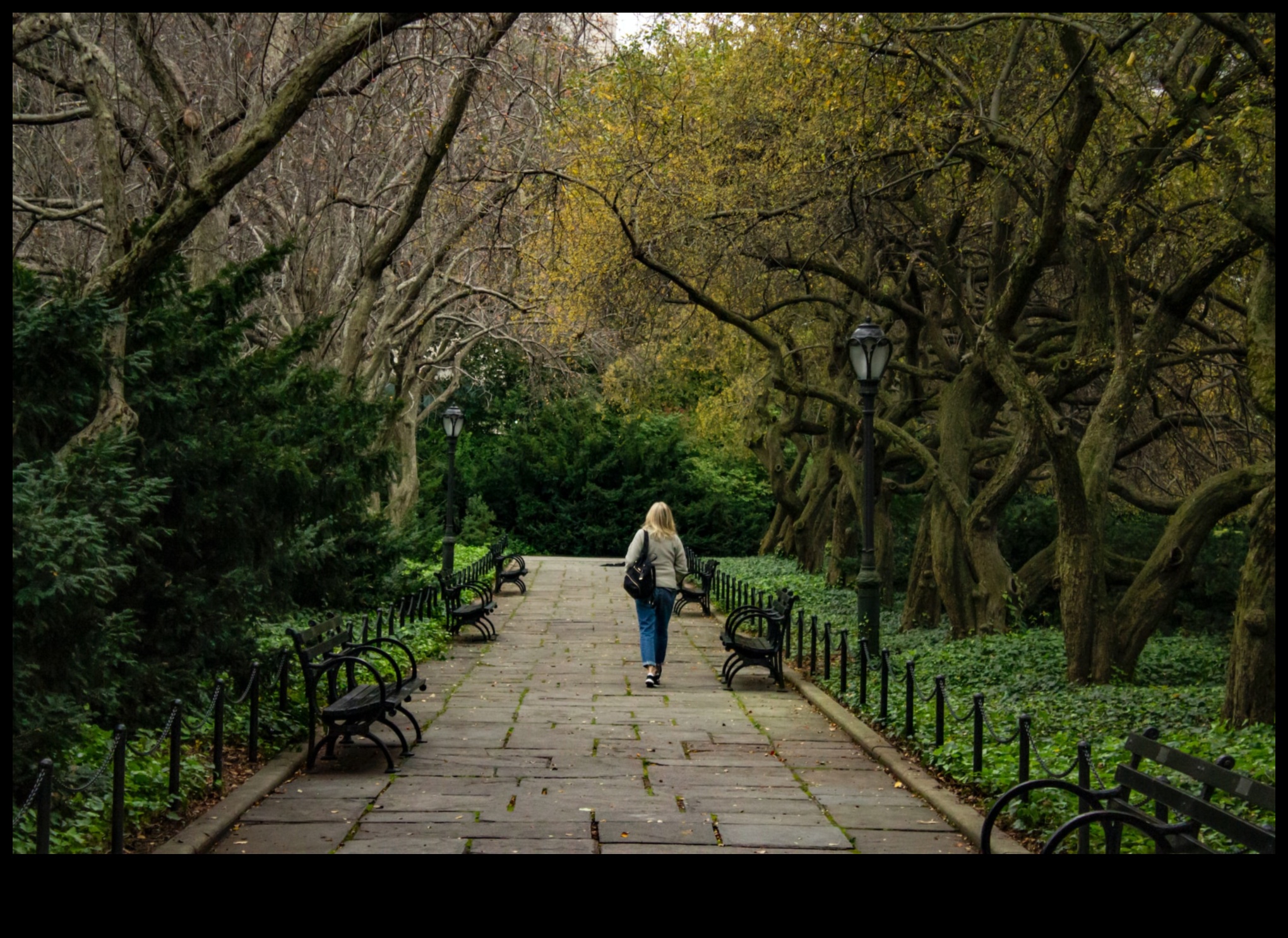 נווה המדבר של הטבע: נסיגה חזותית אל נופים שלווים ומרעננים