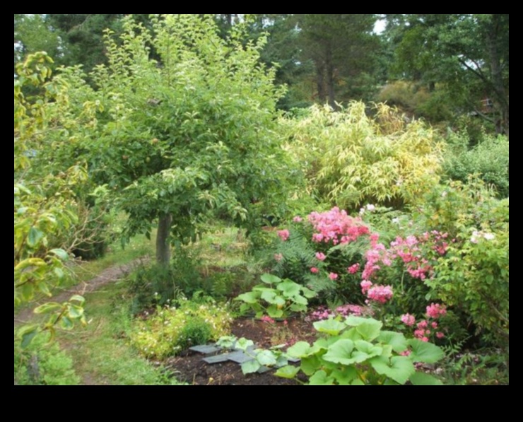 עלווה חברים המדע של יצירת גן הרמוני 3 חברים עלווה: המדע שמאחורי הרמוניה בגינה