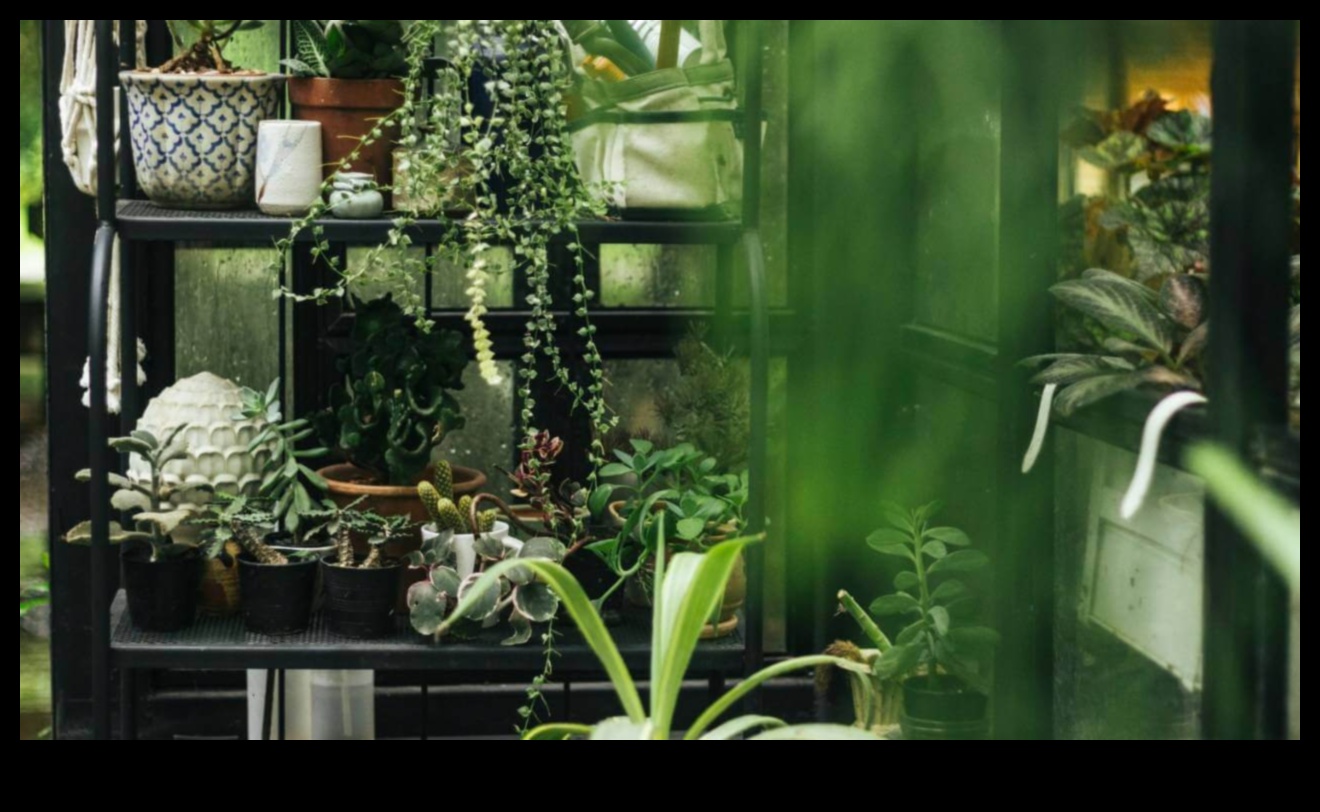 השמחה של גנים מקורים איך להכניס כיסים של ירק לתוך הבית שלך 2 ירוק בגודל כיס: לגלות את השמחה שבגנים מקורה