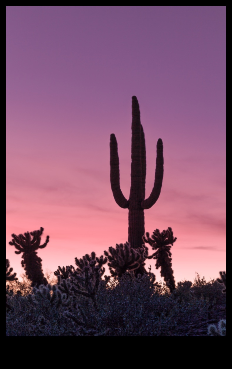 שטחים נצחיים: צילום נוף קלאסי שמחזיק מעמד בחשיפה