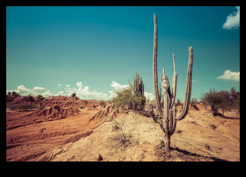 שטחים נצחיים: צילום נוף קלאסי שמחזיק מעמד בחשיפה