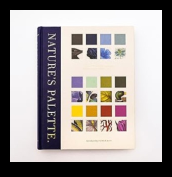 פלטת הטבע: שפר את נווה המדבר שלך עם אמנות גן