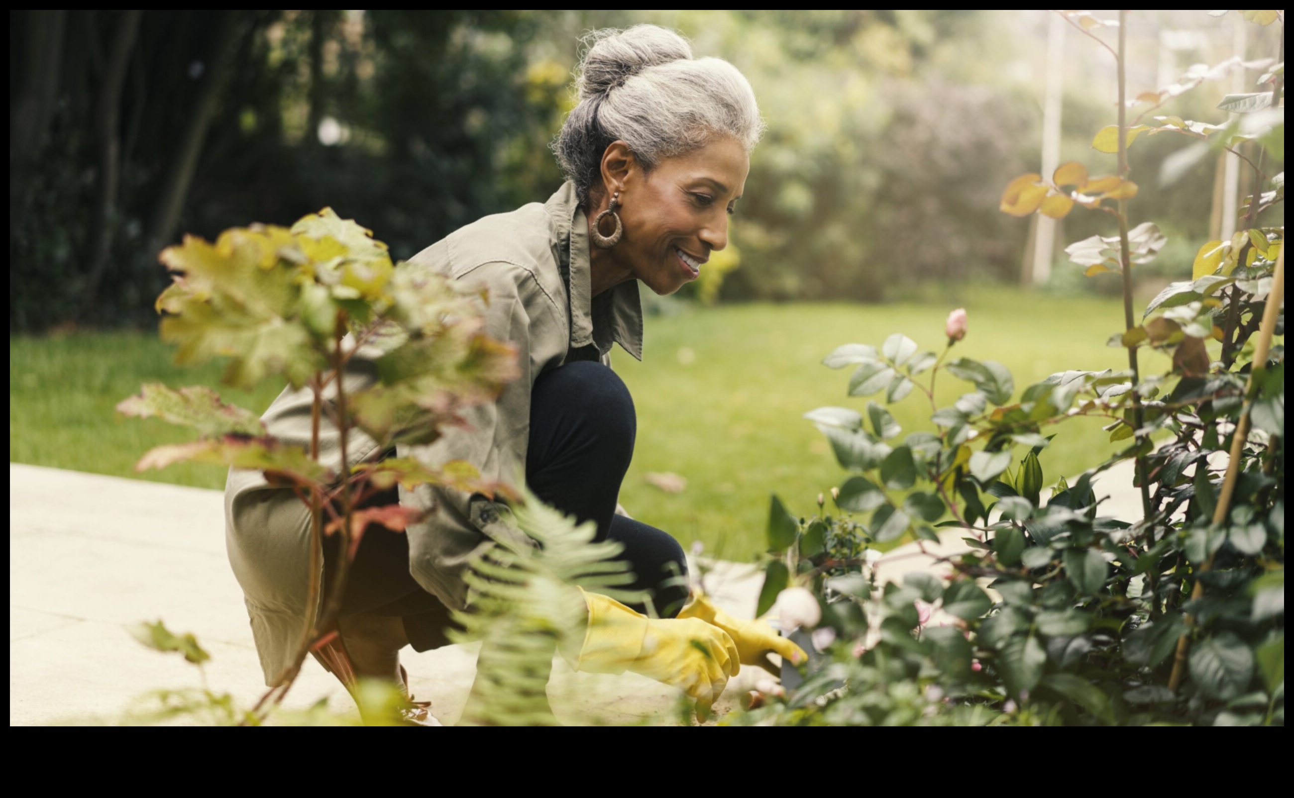 כוחם המרפא של גנים 2 פלאים ירוקים: גילוי מחדש של גנים ומרחבים ירוקים
