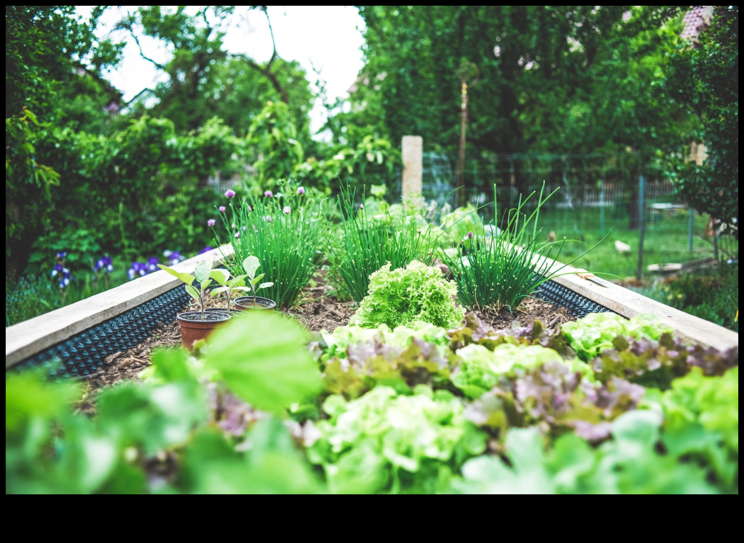 City Bloomers: משגשגת עם תענוגות גינון במכולות