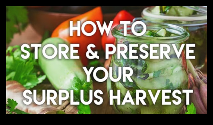 Garden Bounty: לכידת את מהות הטריות במיצי הירקות שלך