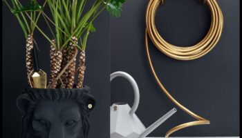 גן תהילת: הרם את השטח הירוק שלך עם כלים מובילים