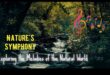 הסימפוניה של הטבע: תצוגות נוף שובות לב