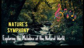 Nature's Symphony סביבה סאונד מהמם 6 הסימפוניה של הטבע: תצוגות נוף שובות לב