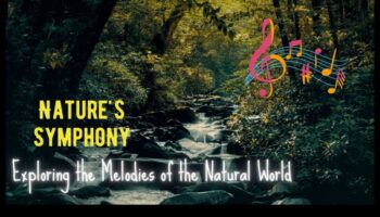 הסימפוניה של הטבע: תצוגות נוף שובות לב