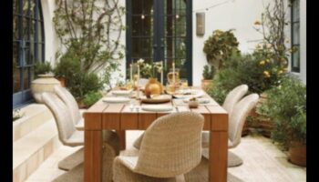 נווה מדבר בחוץ: שנה את המרחב שלך עם תפאורה מגמתית