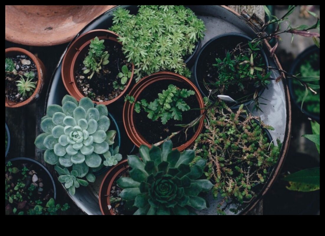 ירוק בגודל כיס: לגלות את השמחה שבגנים מקורה