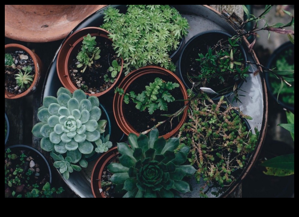 השמחה של גנים מקורים איך להכניס כיסים של ירק לתוך הבית שלך 1 ירוק בגודל כיס: לגלות את השמחה שבגנים מקורה