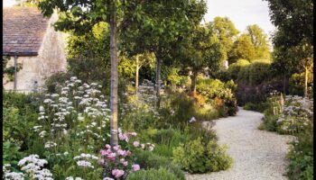 חברים עלווה: המדע שמאחורי הרמוניה בגינה