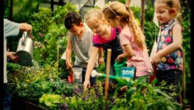 טיפוח הטבע: אימוץ מתנות הגננות