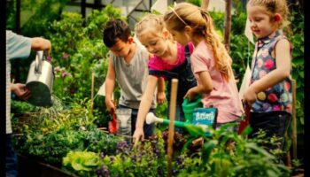 טיפוח הטבע: אימוץ מתנות הגננות