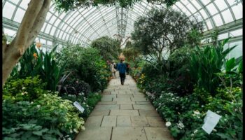 פלאים ירוקים: גילוי מחדש של גנים ומרחבים ירוקים