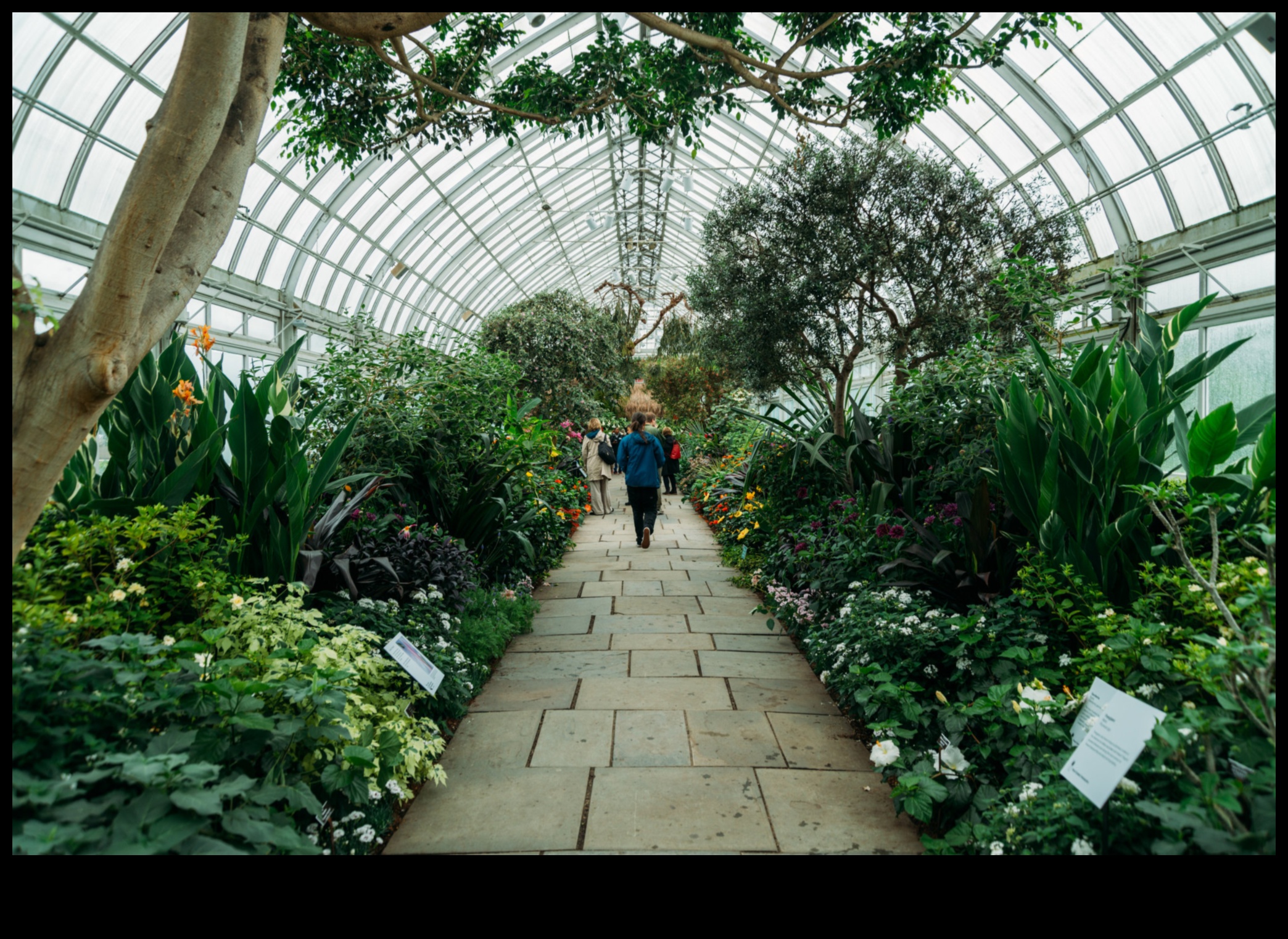 כוחם המרפא של גנים 1 פלאים ירוקים: גילוי מחדש של גנים ומרחבים ירוקים