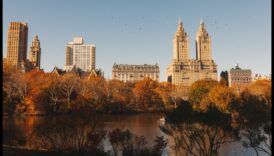 נווה טבע שומם של הטבע - מפלט מג'ונגל הבטון 2 נווה המדבר של הטבע: נסיגה חזותית אל נופים שלווים ומרעננים