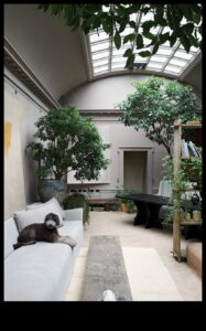 עדן וירטואלית: עיצוב נוף בעולמות וירטואליים מתפתחים