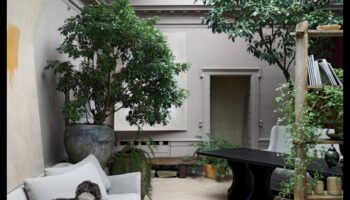 עדן וירטואלית: עיצוב נוף בעולמות וירטואליים מתפתחים