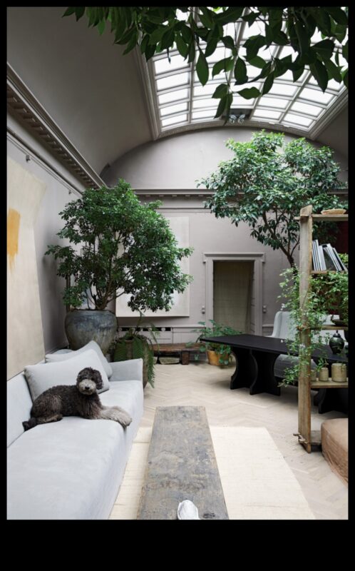 עדן וירטואלית: עיצוב נוף בעולמות וירטואליים מתפתחים