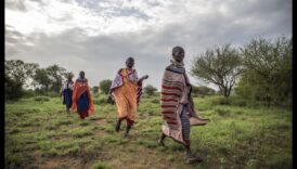 עמים ילידים והנוף 3 נופי ילידים ושבטים: טבע בהקשר תרבותי