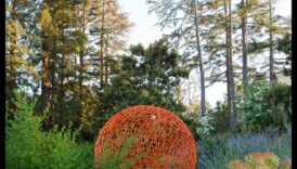 פלטת הטבע: שפר את נווה המדבר שלך עם אמנות גן