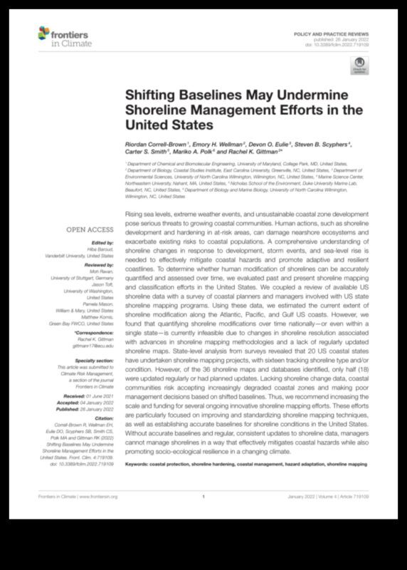 חופים בפוקוס II: גילוי מחדש של מופלאות החוף והחוף