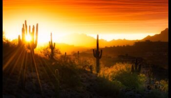 שטחים נצחיים: צילום נוף קלאסי שמחזיק מעמד בחשיפה