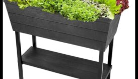 City Bloomers: משגשגת עם תענוגות גינון במכולות