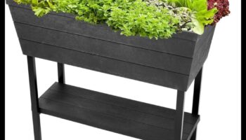 City Bloomers: משגשגת עם תענוגות גינון במכולות